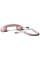 POP Phone Native Union Candy для гаджетів з USB-C - 2 - 0